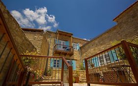 Dolphin Guest House And Studios